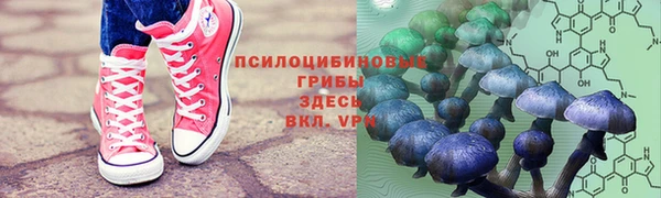 дурь Алзамай