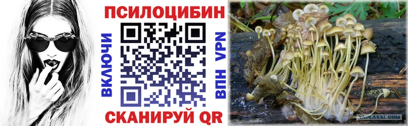 цена   Бабаево  Галлюциногенные грибы ЛСД 